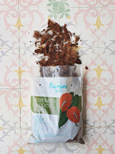 sustrato-especial-para-orquideas-anturios-tierra-para-orquideas-pachira-sustrato-de-chip-de-coco-habibi-plantitas.jpg
